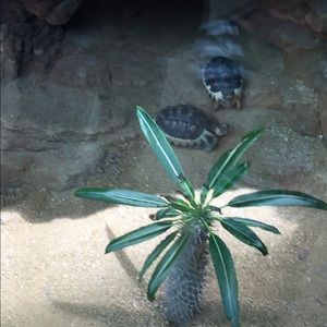 Meet your Posher, Hakim